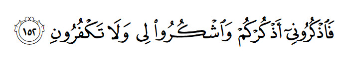 Albacara_152