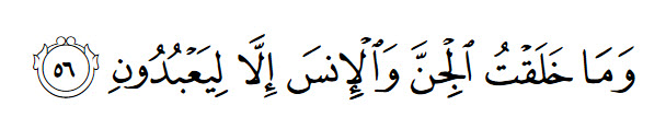 Alzariate_56